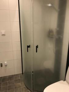 耶尔夫瑟Järvsö Kramstatjärnsvägen 10E的设有带卫生间的浴室内的淋浴间