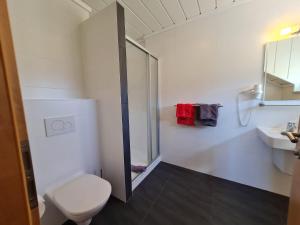 圣卡尼兹Pension Tulpe的带淋浴、卫生间和盥洗盆的浴室