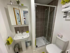 威灵堡Comet place的浴室配有卫生间、盥洗盆和淋浴。