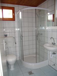 海吉克Hipságh Vendégház的带淋浴、卫生间和盥洗盆的浴室