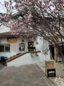 巴克乌Bizant Boutique的一座建筑物前有粉红色花的树