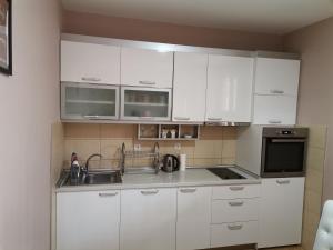 Apartmani Dimitrije 1的厨房或小厨房