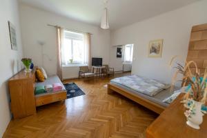 卢布尔雅那Soska 5的一间设有床铺和沙发的房间