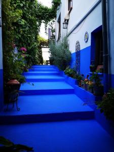 格拉纳达省阿拉马塞古利亚旅馆的植物丛中的蓝色楼梯