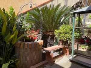 Casa CriscioneProfumo D'arancio B&B a Pedalino的种有盆栽植物和木凳的花园