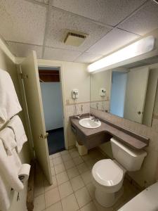 尼亚加拉瀑布Heritage Inn & Suites的一间带水槽、卫生间和镜子的浴室