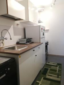 塔尔维西奥appartamento Florianca的厨房配有水槽和白色冰箱