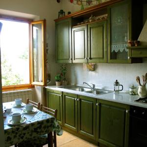 巴尼奥阿里波利Casa Martellina - Holiday Home的厨房配有绿色橱柜、水槽和桌子