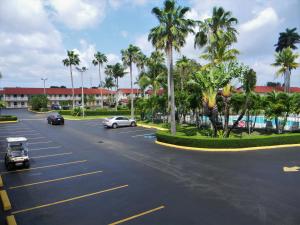 佛罗里达市佛罗里达市大沼泽地宅院航道旅馆的停车场,有汽车沿着棕榈树的街道行驶