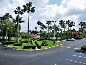 佛罗里达市佛罗里达市大沼泽地宅院航道旅馆的街上有种棕榈树的停车场和一辆汽车
