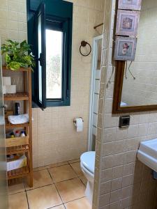 托莱多FINCA VALDELAJARA a 20 minutos de Puy du Fou的一间带卫生间和窗户的浴室