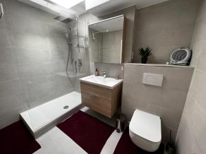 乌尔姆SPA-Apartment mit Sauna in Ulm-Böfingen的一间带水槽、卫生间和淋浴的浴室