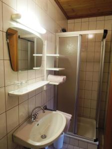弗拉绍卡利娜豪斯公寓的一间带水槽、淋浴和镜子的浴室