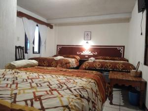 克萨尔特南戈Hotel Casolia的一间卧室配有两张床和一张桌子