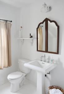 皮克顿Wild Rose的白色的浴室设有卫生间和水槽。