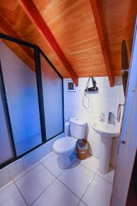 普孔杰科旅舍的一间带卫生间和水槽的浴室