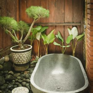 斯勒曼Cokro Hinggil - Traditional View的盆栽的房间里设有浴缸