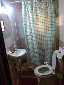 马达巴Queen Ayloa Hotel&Restaurant的一间带卫生间和水槽的浴室