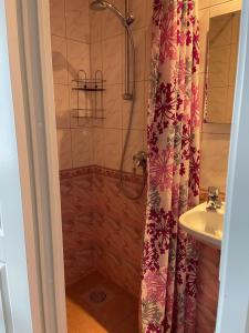 派尔努Lana House的淋浴器和淋浴帘,位于水槽旁