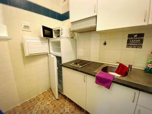 马拉加Cathedral Malaga Hostel的一间带水槽和冰箱的小厨房