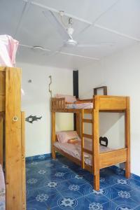 Akki's Hostel客房内的一张或多张双层床