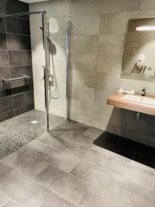 迪耶普欧洲酒店的带淋浴和盥洗盆的浴室
