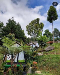 茂物D'Paseban Glamping的花园中种有植物的房屋