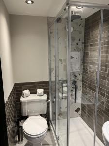 彭里斯Queens Head Inn, Tirril的一间带卫生间和淋浴的浴室
