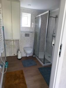厄扎森Gemütliches Landhauswohnen rent-by-seibold的一间带卫生间和玻璃淋浴间的浴室