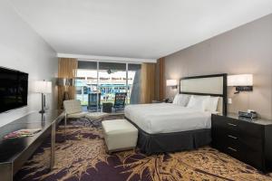 棕榈泉佐索酒店的酒店客房设有一张大床和一台电视。