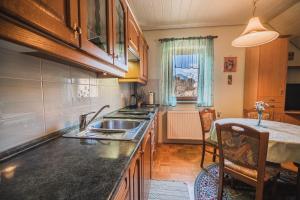 泽高杰耶泽尔斯科Homestay Kocka的厨房配有水槽和台面
