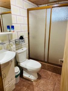 卡斯特鲁Cabañas Los Fabianes的浴室配有白色卫生间和淋浴。