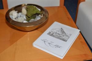 拉什科Rooms Savinja的桌上一碗岩石和一本书