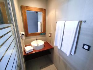 圣皮埃尔Hotel Exsel Victoria的一间带水槽和镜子的浴室