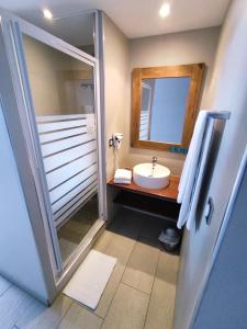 圣皮埃尔Hotel Exsel Victoria的浴室配有盥洗盆和带镜子的淋浴