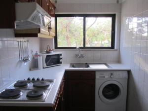 波尔蒂芒Apartment Vila Rosa的厨房配有炉灶和洗衣机。