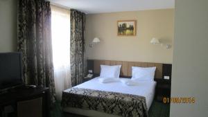 巴克乌比斯特里察酒店的酒店客房,配有床和电视