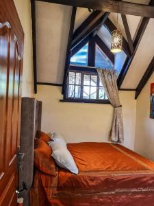 内罗毕The Annex at 64 : Cozy, rustic cottage/treehouse的一间带床的卧室,位于带窗户的房间内