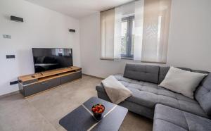 马林斯卡Villa Baden的客厅配有灰色的沙发和电视