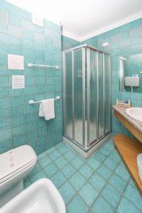 萨奥兹-杜尔克斯Hotel Gran Baita的带淋浴、卫生间和盥洗盆的浴室