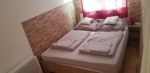 鲍洛通费尼韦什Tavasz apartman的小型客房设有两张单人床和窗户。