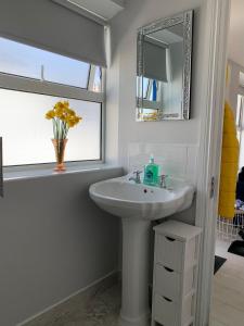 巴利香农The Honeycomb的一间带水槽和镜子的浴室以及窗户。