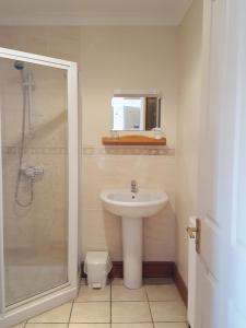 纽马基特拜耶尔雷别墅酒店的一间带水槽、淋浴和镜子的浴室