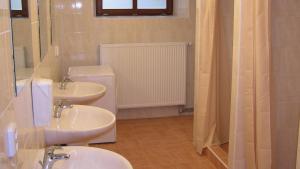 奥洛穆茨玛丽亚酒店旅馆的浴室设有2个水槽、卫生间和镜子。