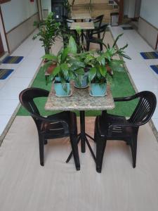 瓜拉派瑞Pousada Solar da Praia的一张桌子,上面有两把椅子和盆栽植物