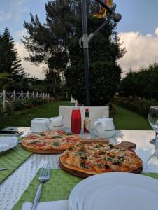 努沃勒埃利耶特列文酒店的桌上的两份披萨,配盘子和玻璃杯