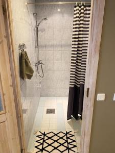 派尔努科尔姆维纳别墅公寓的带淋浴和浴帘的浴室