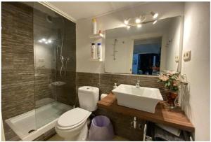 马德里ILE BUENA VISTA EXTERIO的浴室配有卫生间、盥洗盆和淋浴。