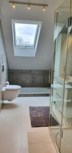 华沙loft 85 m2 Wilanow Krolewski self checkin的一间带卫生间、水槽和窗户的浴室