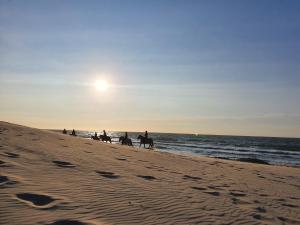 雷讷瑟Beachhouse Renesse 2645的一群人在海滩上骑马